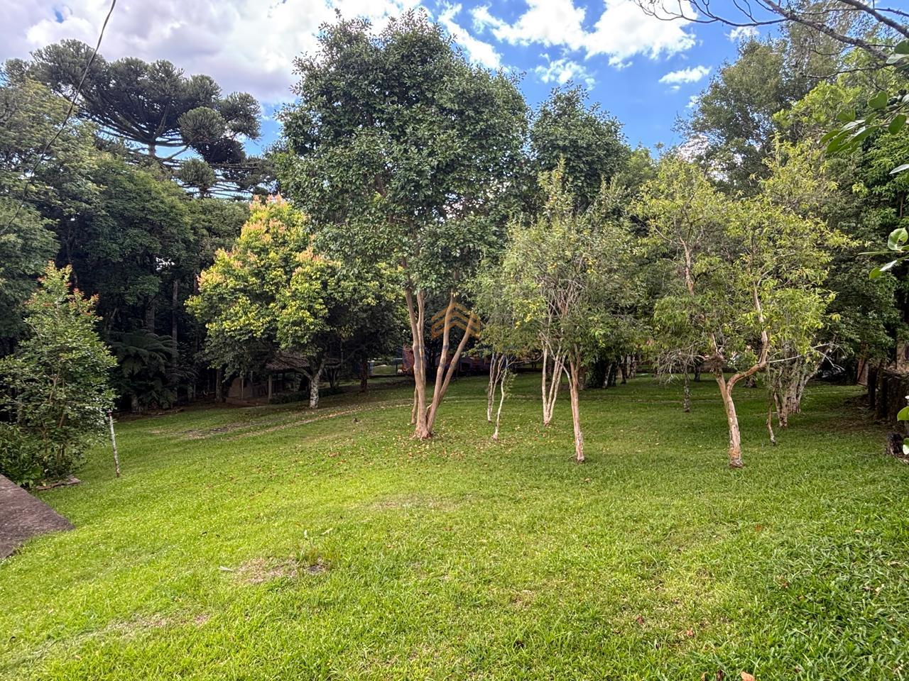 WhatsApp Image 2026-01-27 at 14.59.38 (11)